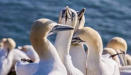 开云入口-中国足球“两步走”战略实现初步成效，中国足球之路