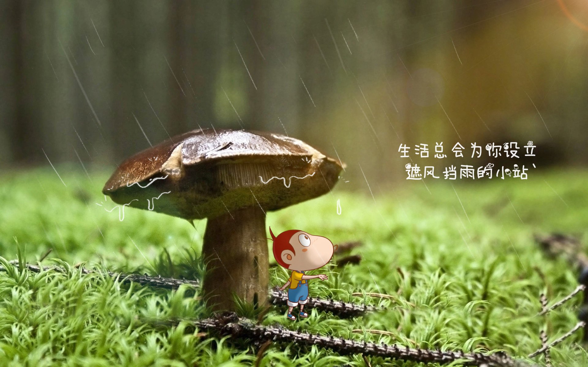 史上最具影响力的欧冠明星球员，欧冠著名球星