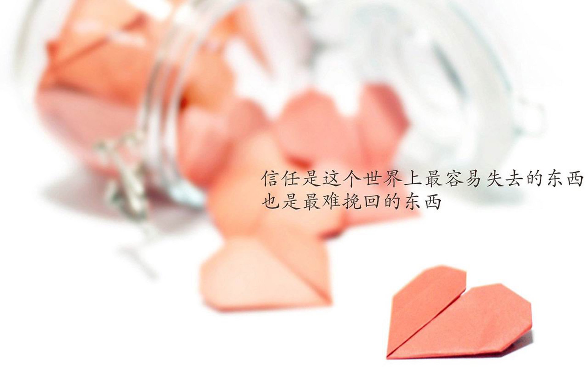 塞内加尔球迷入选“最具激情支持团体”榜首，塞内加尔球员阵容