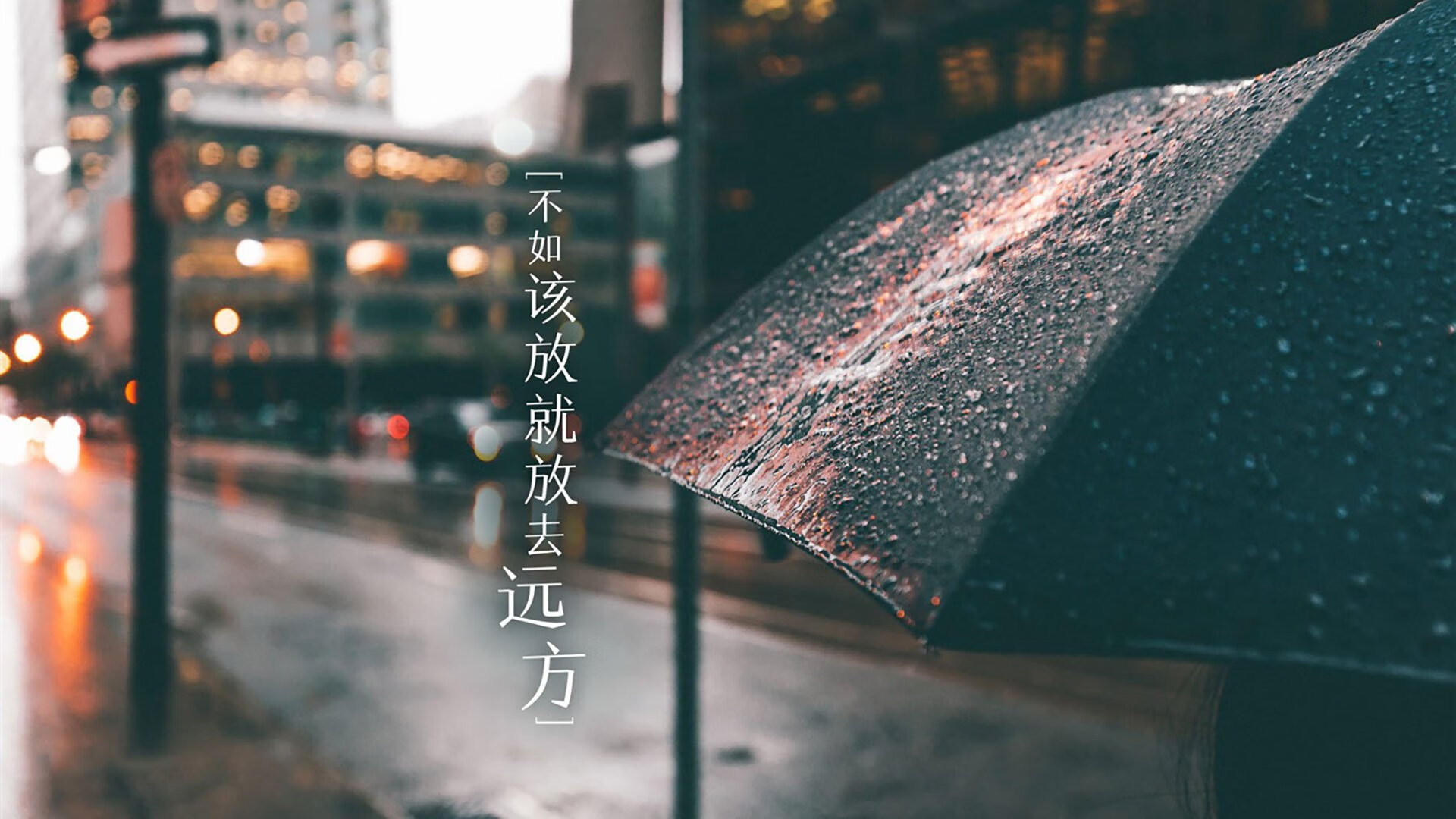 特色篮球文化在青少年中形成良好氛围，促进全民运动生活，篮球文化主题说明