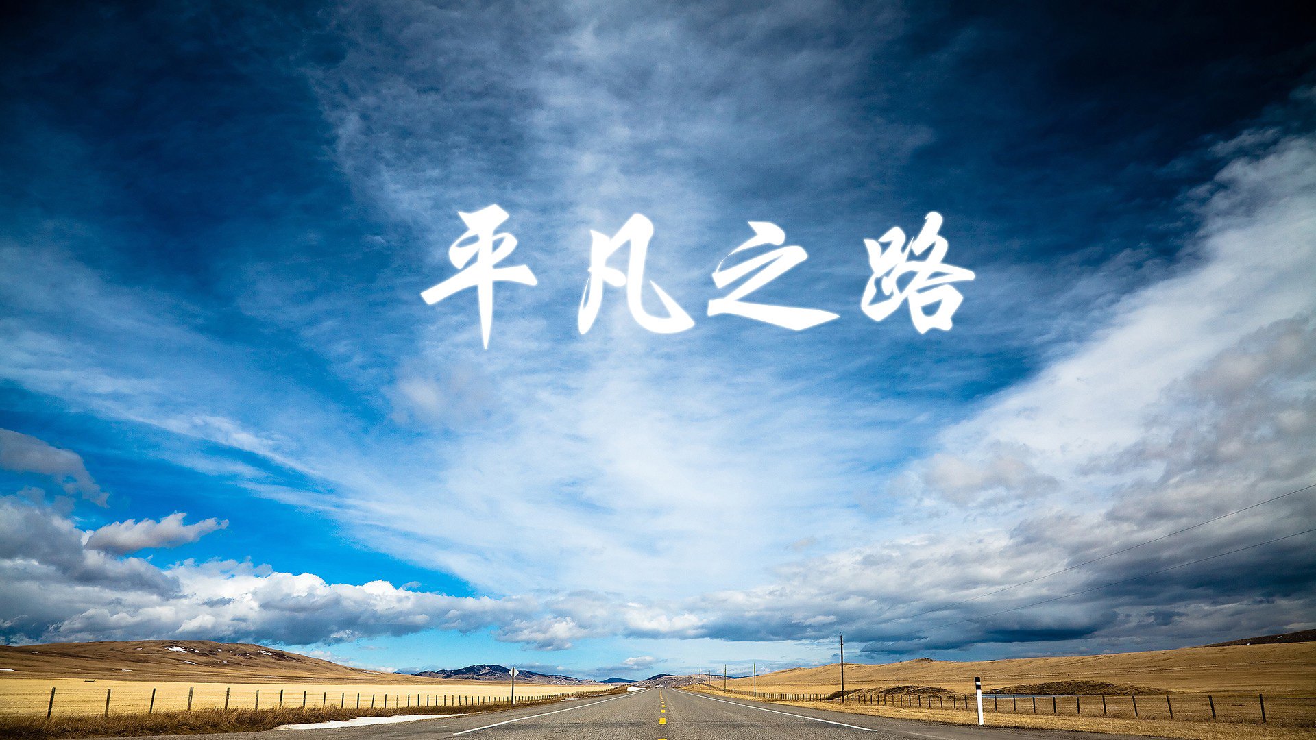 葡萄牙马术队在2024年欧洲工作马术锦标赛中荣获团体金牌，展现强大实力。