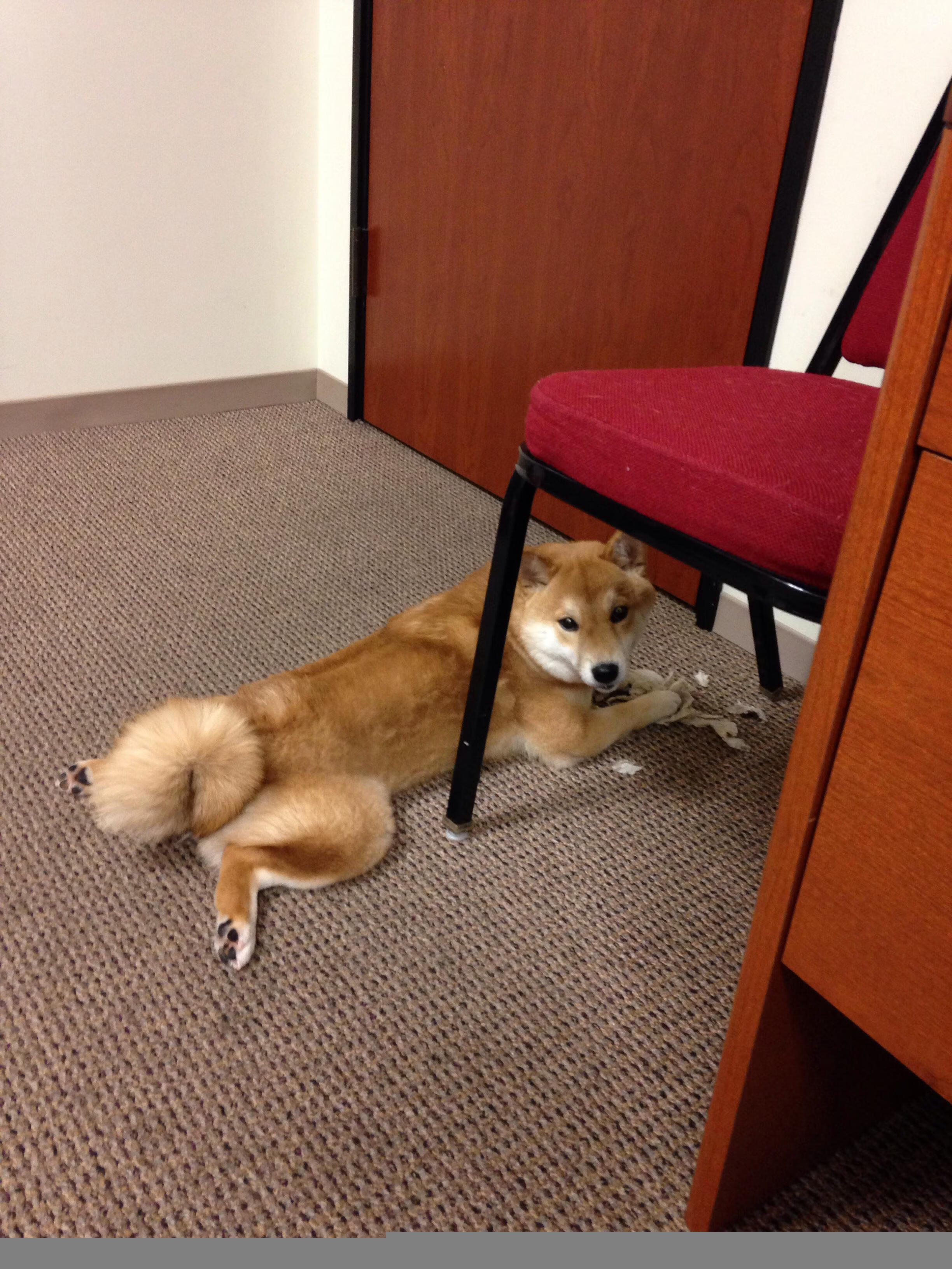 开云网站-皇家贝蒂斯控球持续拉扯防守空间，皇家贝蒂斯主帅