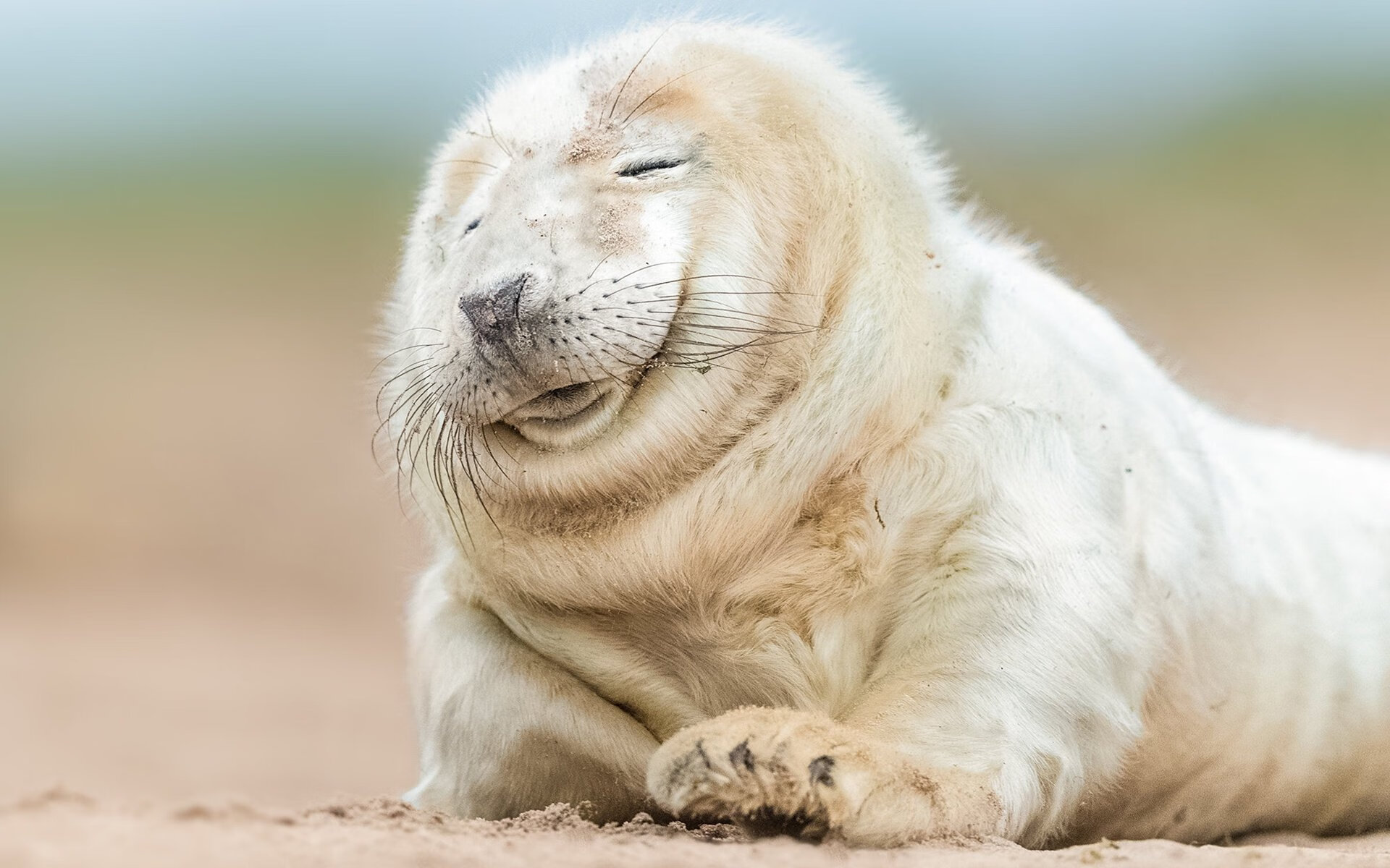 Kaiyun官方登录入口-女子篮球强化体能恢复课程减少运动伤害，女篮体能训练