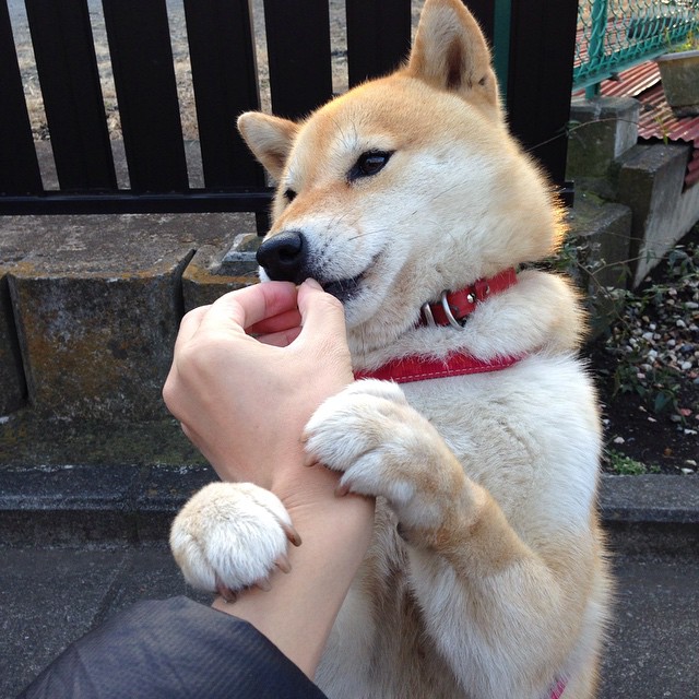 KAIYUN 中国大陆-新兴媒体平台推出全程回看功能让球迷不错过任何比赛瞬间，全场回看