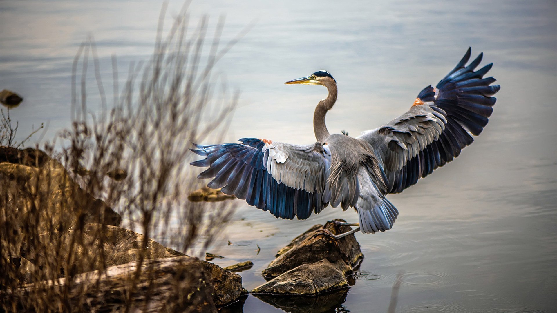kaiyun官方网站-极限运动挑战者精神探讨，极限运动挑战失败视频