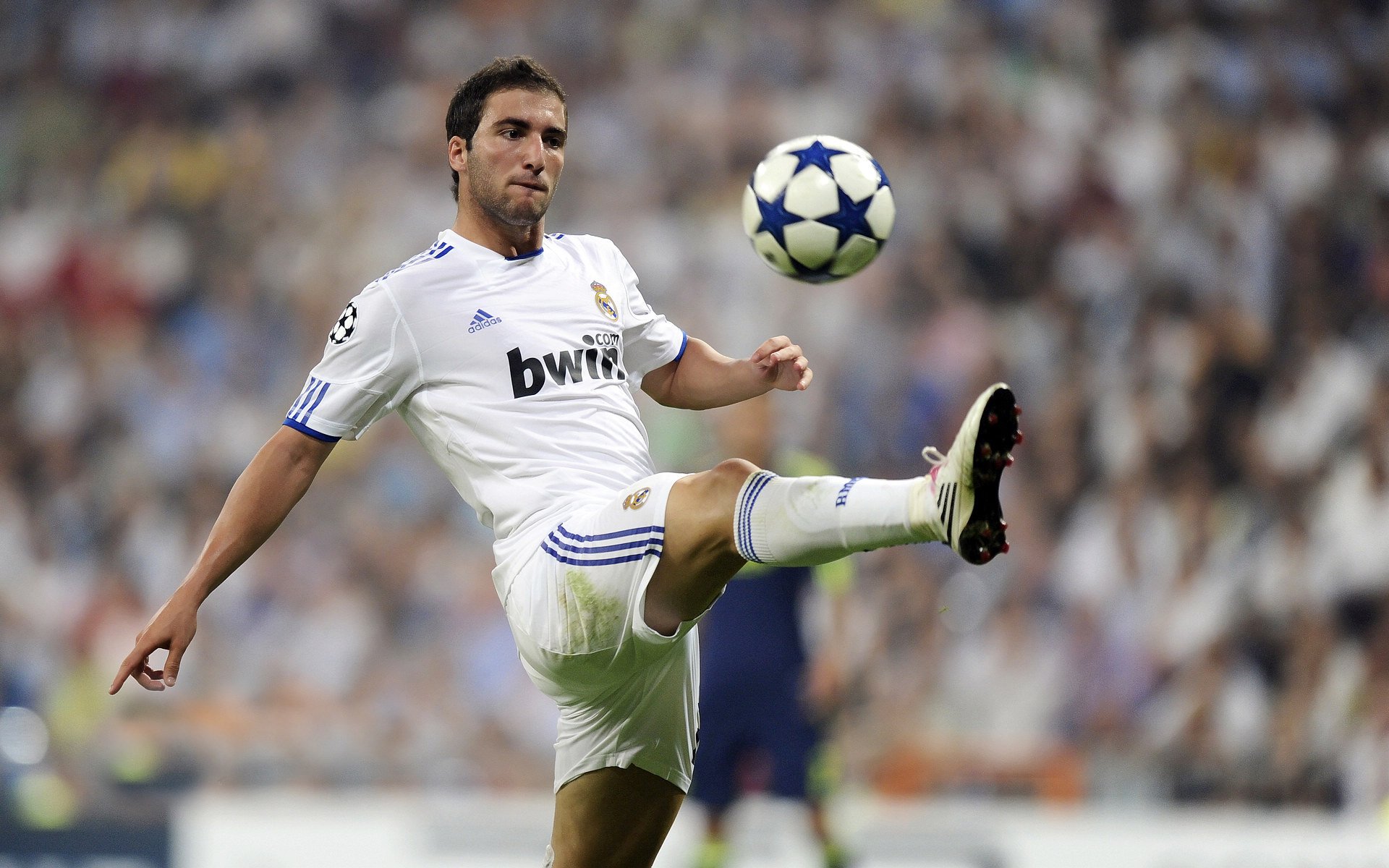 kaiyun体育app-波尔曼的攻防一体打法，使袋鼠队全面提升，波尔曼斯