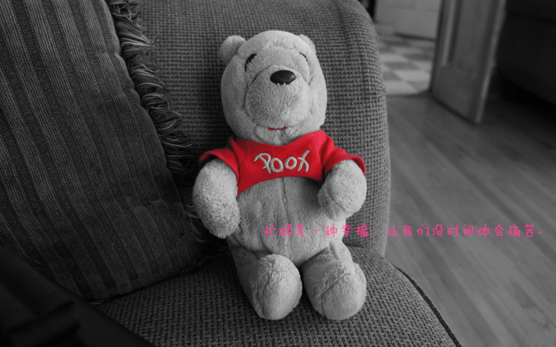 kaiyun官方网站-王楚钦打出本赛季最快得分回合，王楚钦什么时候进入一队