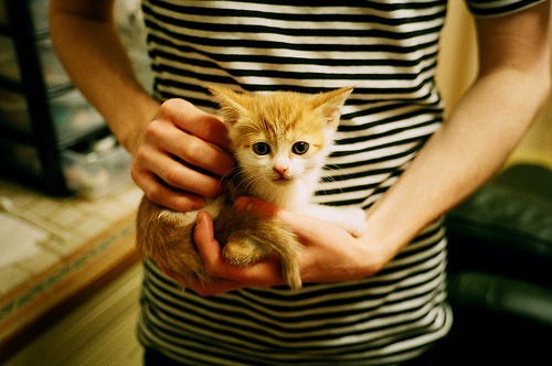 开云·Kaiyun网页版-王楚钦回忆第一次参加国际比赛，王楚钦参加过的比赛