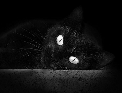 开云体育APP下载-西甲外援的适应和表现分析，西甲外援人数