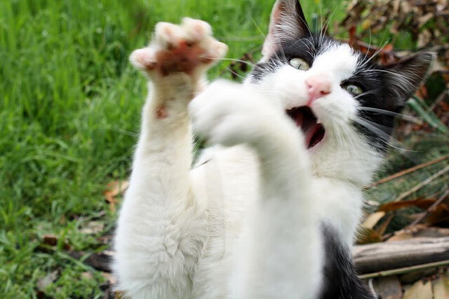 开云平台-马刺新星入选月最佳展现未来潜力，马刺队新秀